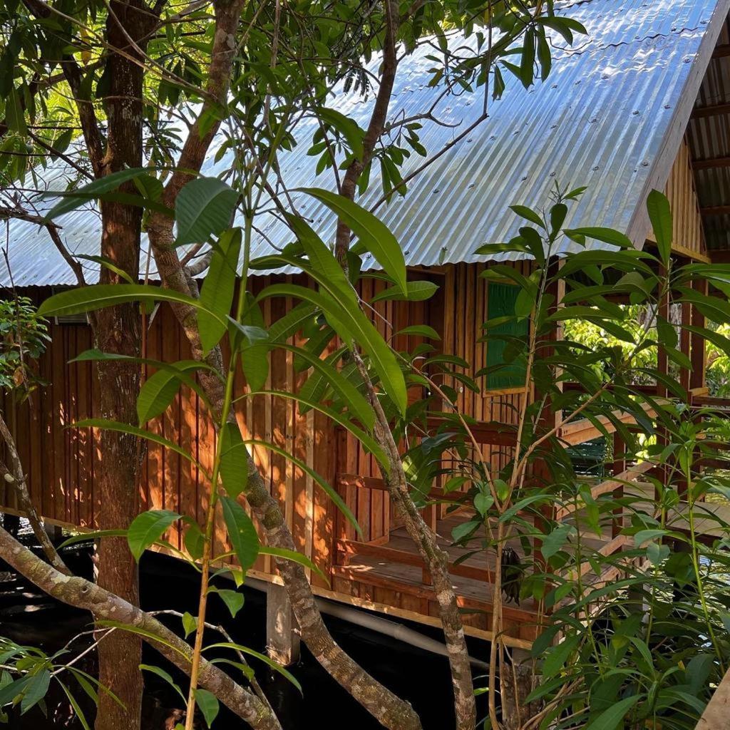 Tucan Amazon Lodge - Amazônia Exxperience Paricatuba Exterior foto